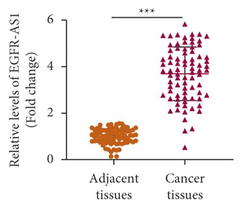 Egfr As Is Vital For Nsclc Pathogenesis A The Relative Expression