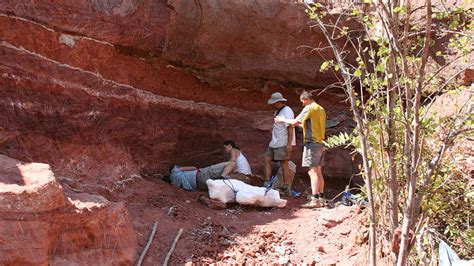 Scientists Discover New African Titanosaur Fossils in Tanzania Cliff – Homie Daily