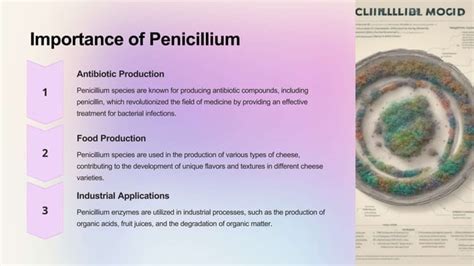 Introduction To Fungi General Characters Of Fungi Life Cycle Of