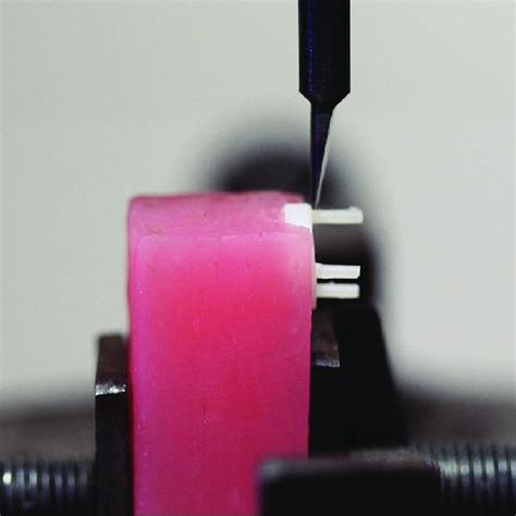 Bar Diagram Showing Mean Microshear Bond Strength Values Download