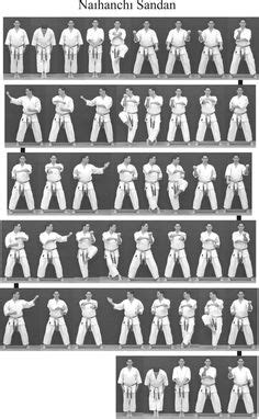 280 Karate kata - forms from various styles ideas | karate kata, karate ...