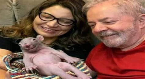 Pf Diz Ao Stf Que Encontrou Meme De Lula E Janja Rato Beb Em