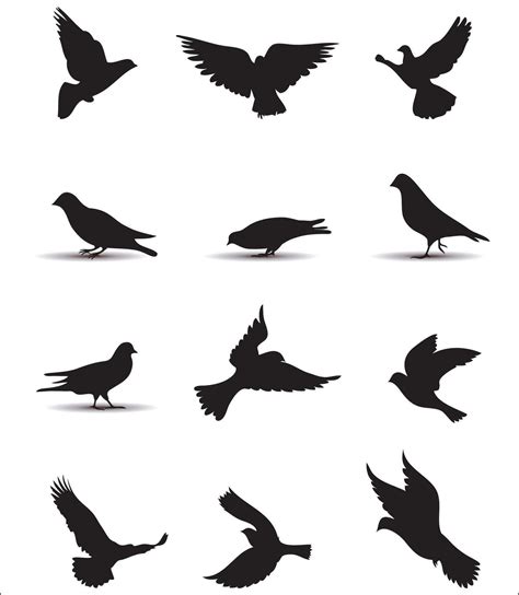 Silhouettes Of Pigeons Pigeon Vector Set Flying Pigeons Flying Birds