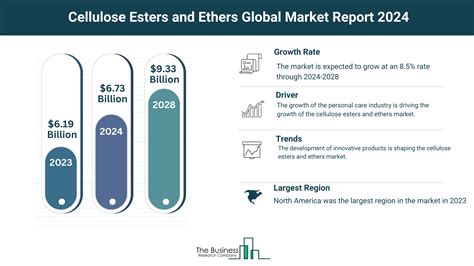 Understand How The Cellulose Esters And Ethers Market Is Set To Grow In