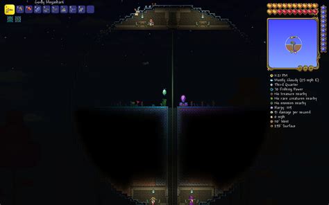 got a hallow biome for the npcs : r/Terraria