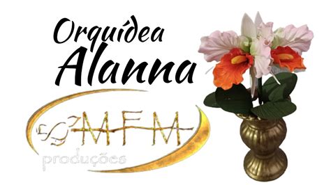 Orquídea no frisador tulipa Alanna YouTube