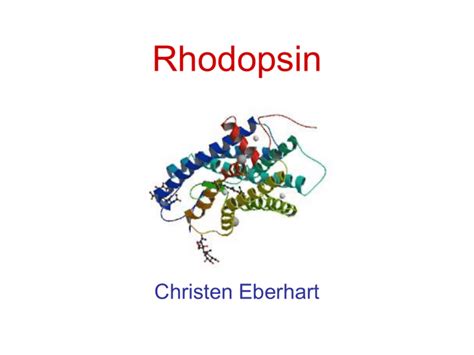 Rhodopsin