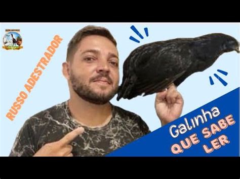 Russo Adestrador E A Galinha Que Sabe Ler O Maior Adestrador De