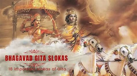 bhagavad gita slokas  important slokas  gita