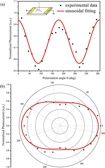 Polarization Dependent Photocurrent Of The Ti Bi Te Film A In