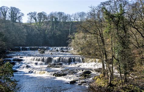 Aysgarth Falls Yorkshire. | Yorkshire dales, Waterfall, River