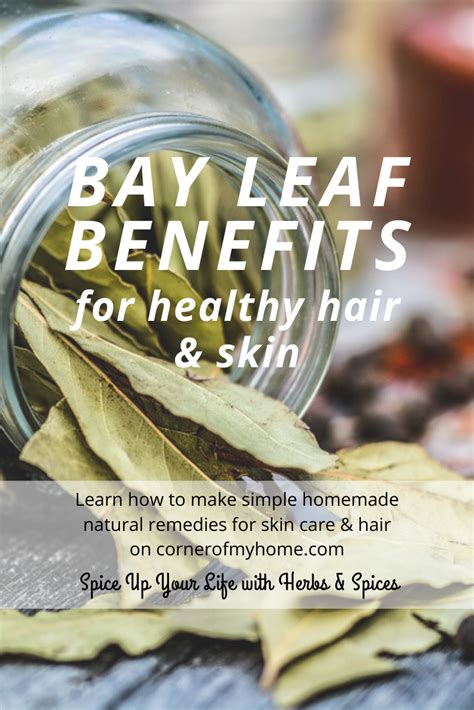 Bay Leaf Benefits | Bay leaf benefits, Bay leaves, Hair remedies for growth