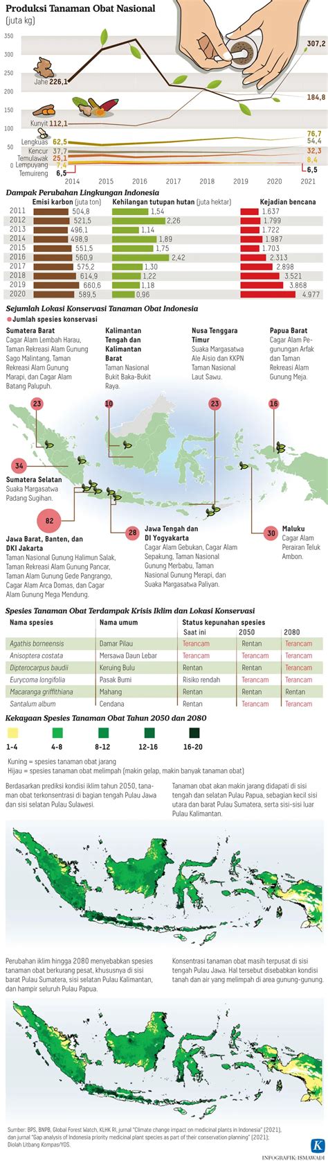 Benahi Tata Kelola Pengadaan Obat