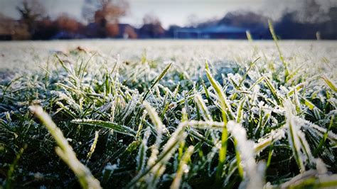 Wetter Mainz Heute DWD Wetterwarnung Gefahr Wegen Frost Am Donnerstag