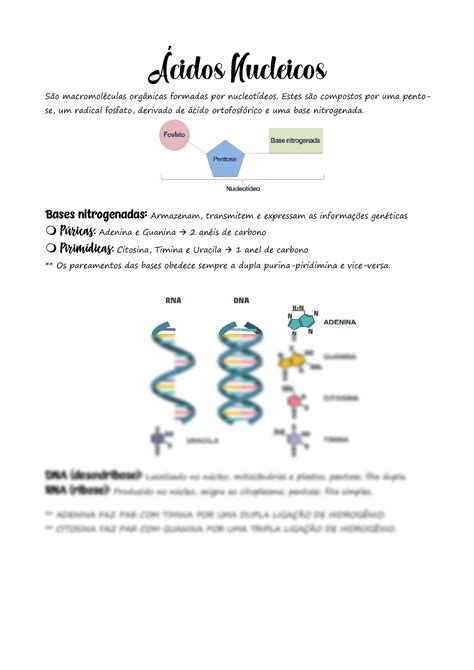 Solution Acidos Nucleicos Studypool