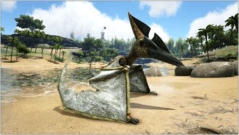 Ark Pteranodon Abilities Taming Food Saddle Breeding Drops