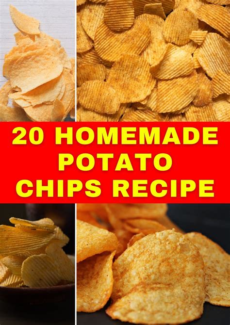 Homemade Potato Chips Cookbook 20 Potato Chips Recipe Delicious Potato Chips Cooking Fast