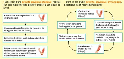 Module C Les Risques Li S L Activit Physique Digischool