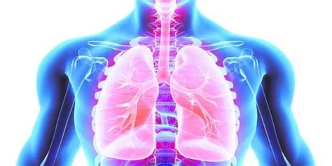 Ejercicios Respiratorios Post Covid Para Mejorar La Capacidad Pulmonar