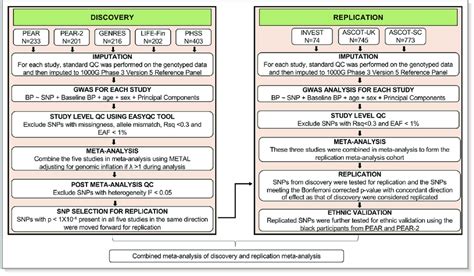 Overall Design Framework For The Discovery And Replication Download Scientific Diagram