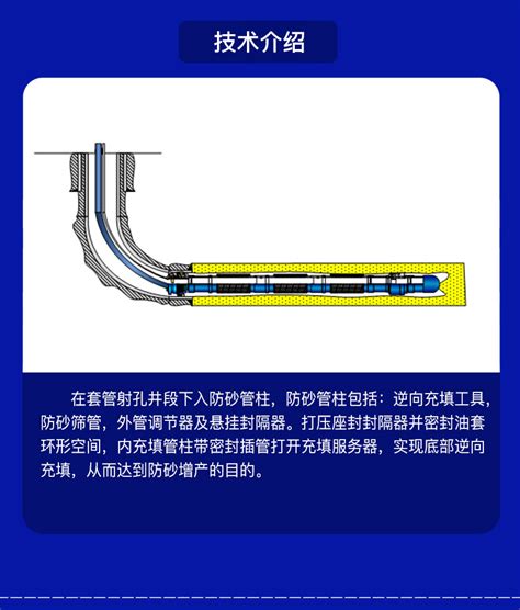 水平井逆向充填防砂技术服务 安东油田服务商城