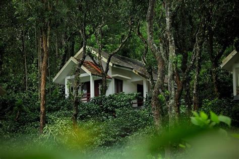 Best Budget Homestays In Wayanad Trawell In Blog