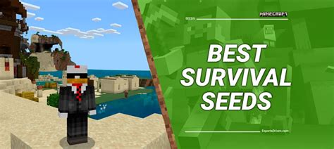 The Best Minecraft Seeds You Need To Try In