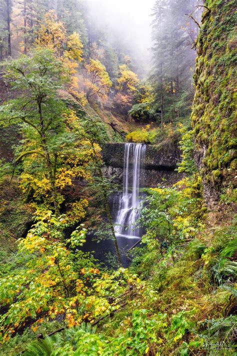Silver Falls State Park - Lower South Falls - Oregon Photography