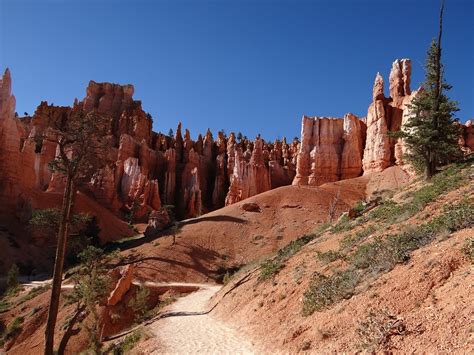 Free photo: Bryce Canyon, Usa, Utah - Free Image on Pixabay - 830458