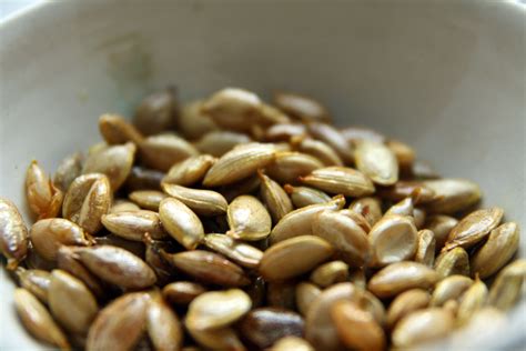 {Garden Life} Roasting Pumpkin Seeds - No Ordinary Homestead