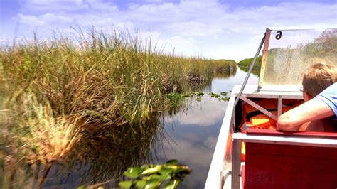 Thrilling Airboat Ride through the Everglades Near Miami USA - MIAMI, USA APRIL 10, 2016 ...