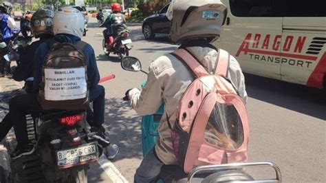 Cerita Unik Pemudik Motor Demi Anak Wiwit Mudik Bawa Kucing Dari