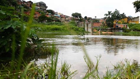 Jardim Pantanal A Solução Está Logo Ali Veja