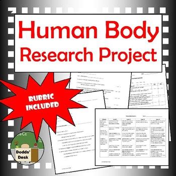 Human Body Systems Research Project Rubric Science By Dodds Desk