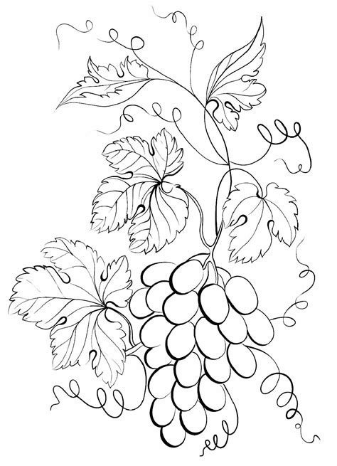 30+ Desenhos para colorir de Uva - Como fazer em casa