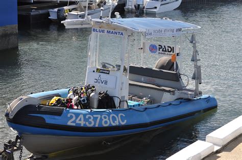 coxswain wanted   hiring gold coast dive adventures