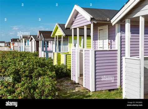 Colourful Windswept Wooden Bathing Huts In The Sand Dunes On The Beach