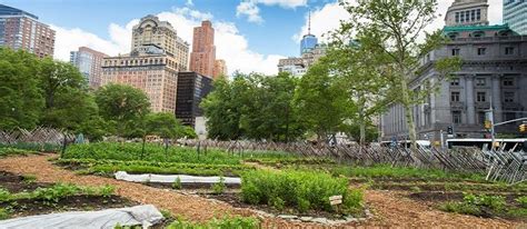 Understanding Urban Agriculture Part The Present State In