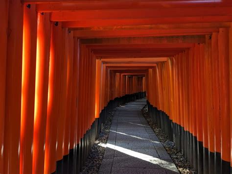 Kyoto Fushimi Inari Shrine Break Of Dawn Tour