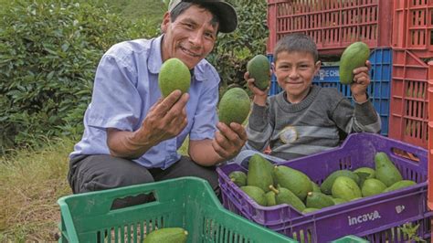 Fertiabono Desembolsa M S De Millones Para La Campa A Agr Cola