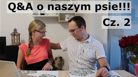 Co Nas Denerwuje W Naszym Adoptowanym Psie Q A Cz 2 Adopcja Psa 10