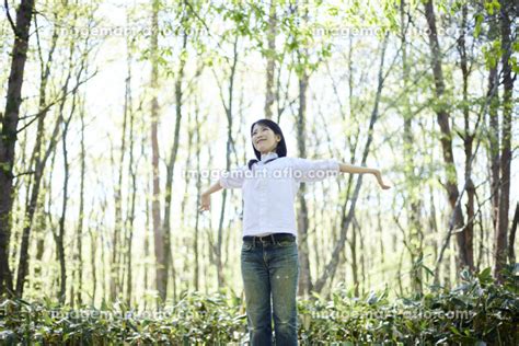 初夏の森でリラックスしながら伸びをする30代日本人女性 （人物）の写真素材 [222154214] イメージマート