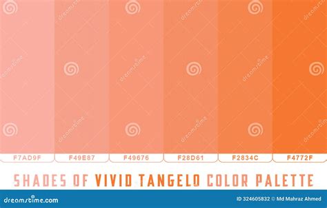 Vivid Tangelo Tone Color Shade Background With Code And Name