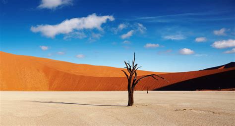 More Vleis - Sossusvlei.com