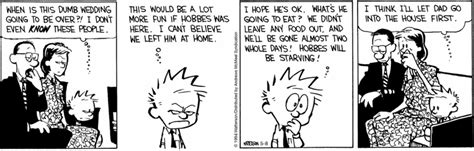 10 Funniest Calvin And Hobbes Comics That Just Turned 30 In May 2024