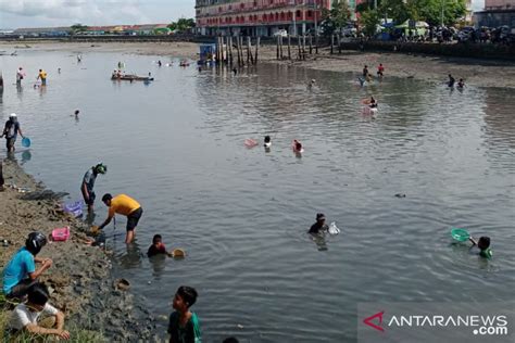 Warga Baubau Dikejutkan Munculnya Ribuan Ikan Di Permukaan Sungai