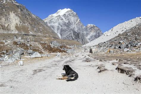 Everest Base Camp Day Dughla To Lobuche Halfway Anywhere