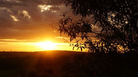 Fotos Gratis Paisaje Rbol Naturaleza Horizonte Rama Amanecer