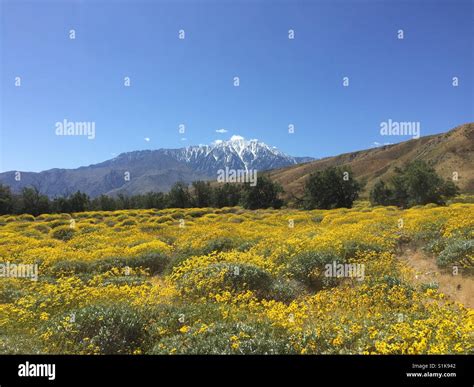 Mountains in California Stock Photo - Alamy