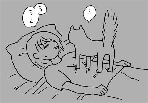 「夜中のうちのネコチャン5kg」417の漫画